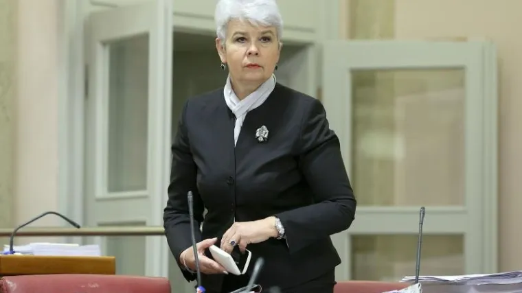 'Milanović se sprema za predsjedničke izbore, inficiran je politikom'