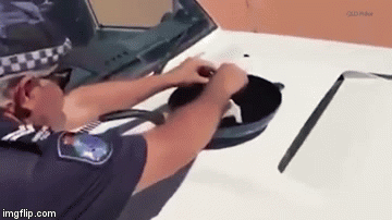 Australski policajac na haubi ispekao jaje i zaludio internet