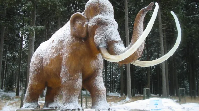 Znanstvenici se slažu: uskoro će u život vratiti mamute i to pomoću ove životinje