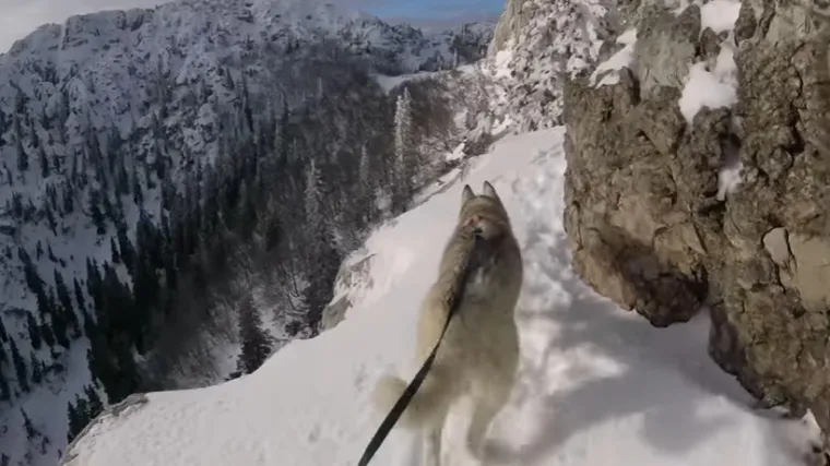 Planinar s kujicom trčao po Velebitu - predivne litice i generalna idila dat će vam pravi zen osjećaj