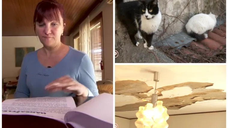 'Imaju stan pun životinja koje nikad ne vode van, smrad tjera na povraćanje'