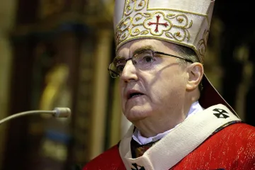 Bozanić u obrani Stepnica: 'On je orijentir u djelovanju Crkve u Hrvatskoj'