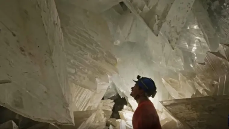 Znanstvenici oživjeli milijune godina stare mikrobe