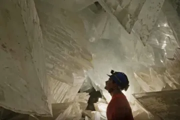 Znanstvenici oživjeli milijune godina stare mikrobe