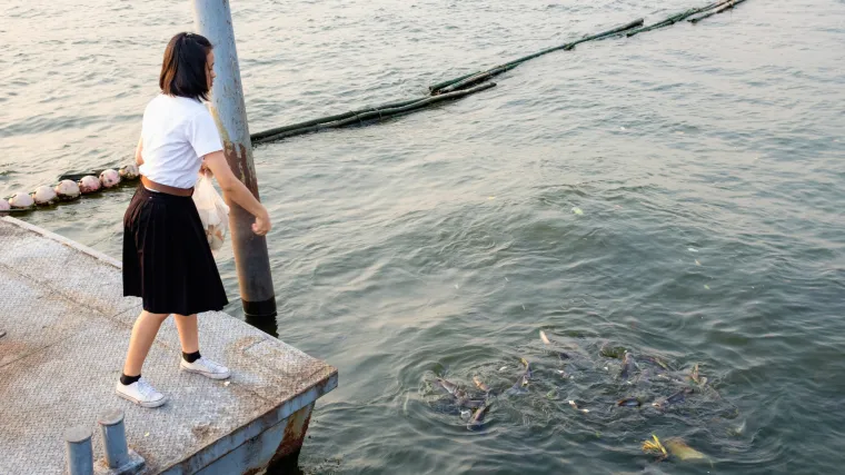 Pa ti kr&scaron;i zakon u Tajlandu: ruska turistkinja u zatvoru jer je hranila ribe kruhom