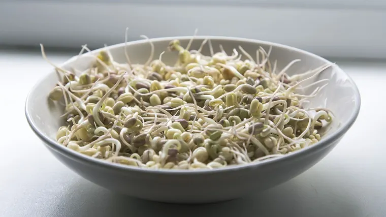 Mungo grah: koja svojstva krije mungo grah?