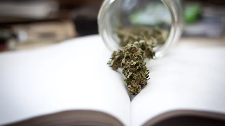 Dokazano: mladi koji su pametniji če&scaron;će pu&scaron;e marihuanu