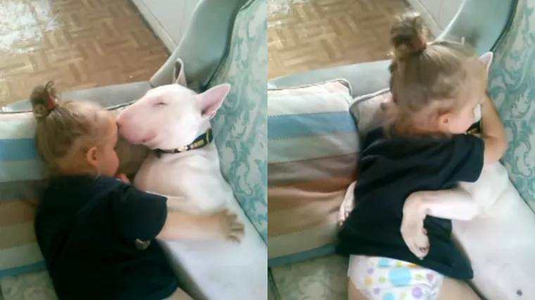 Ove se pse često nepravedno smatra opasnima, no video u kojem se grli s djevojčicom pokazuje suprotno