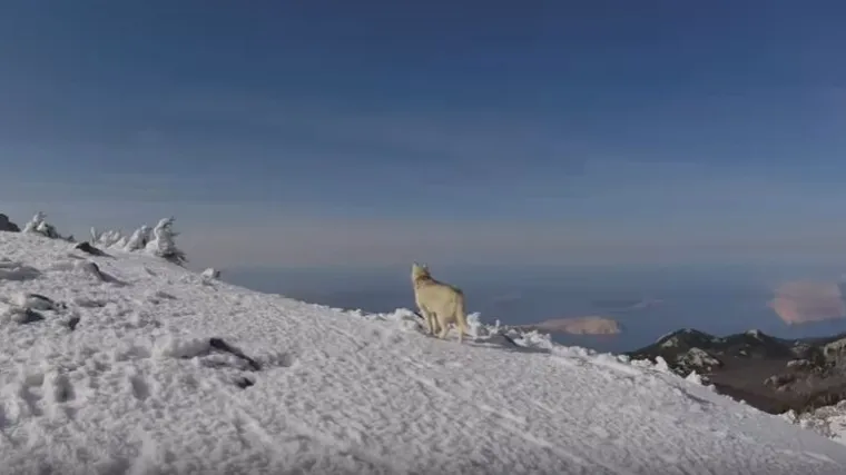 Savr&scaron;enstvo Velebita: pogledajte video koji će vas ostaviti bez daha