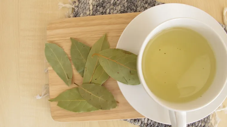 Pomoć iz vrta: čaj od lovora spa&scaron;ava ka&scaron;ljem izmučena pluća
