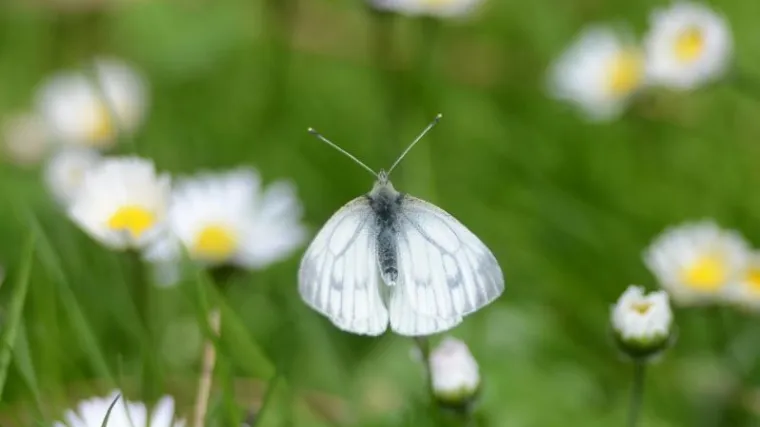 Prognoza koju smo jedva dočekali: Nikola Vikić-Topić otkriva kakvo nas proljeće očekuje