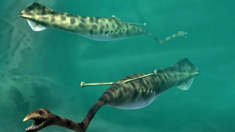 Tullyjevo čudovi&scaron;te stvarno postoji, a biolozi ne znaju ni&scaron;ta o njemu