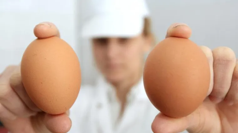 Studenti, dobro do&scaron;li u na&scaron;e menze: dat ćemo vam jaja iz Poljske, stara najmanje 15 dana!