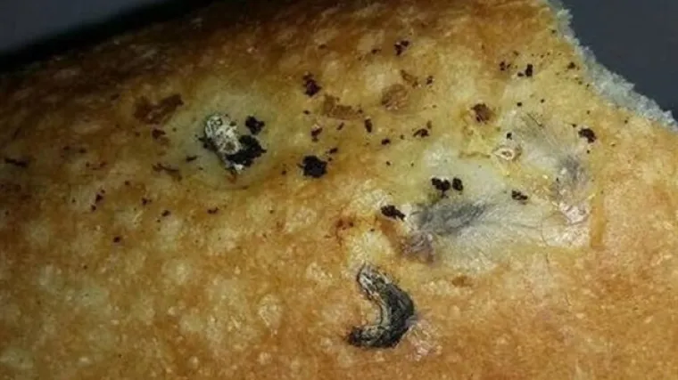 Žena u kruhu na&scaron;la mi&scaron;ji izmet i krzno, evo kako se oni pravdaju