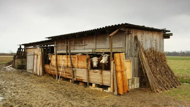 Bezobzirni lopovi mu odnijeli cijelu štalu