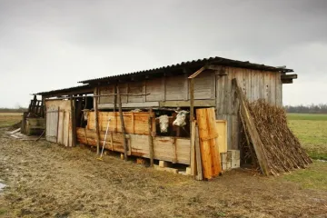 Bezobzirni lopovi mu odnijeli cijelu štalu