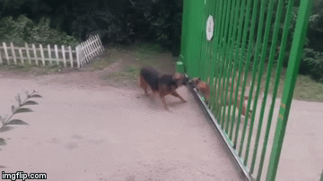 Urnebesni video odlično pokazuje ljudsku prirodu