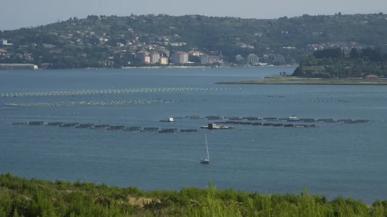 O&scaron;tre reakcije hrvatskih političara: arbitraža sa Slovenijom jo&scaron; je jednom ujedinila SDP i HDZ