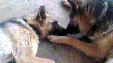 To se zove pravi tata