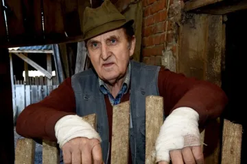 Hrabri mje&scaron;tanin spa&scaron;avao koko&scaron;i od nebeskog predatora