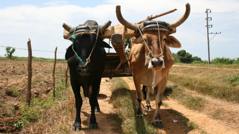  Ljudi ne mijenjaju samo sebe, već i sve vrste koje žive na Zemlji