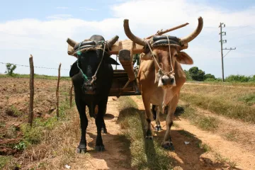  Ljudi ne mijenjaju samo sebe, već i sve vrste koje žive na Zemlji