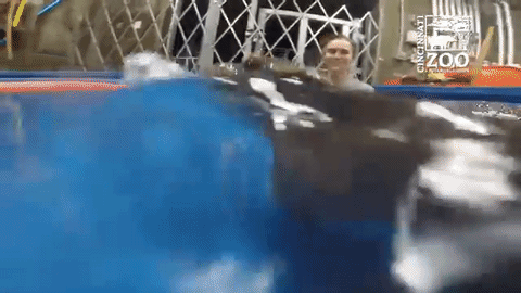 Najslađi ugriz na svijetu!