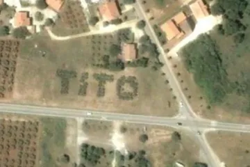 Tito u masliniku: stabla maslina u Istri ispisala ime predsjednika bivše države