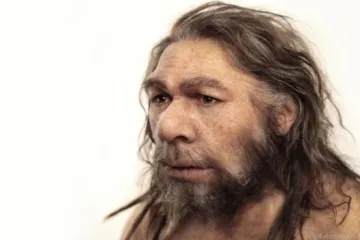 Neandertalci su prije 50.000 godina liječili zubobolju aspirinom