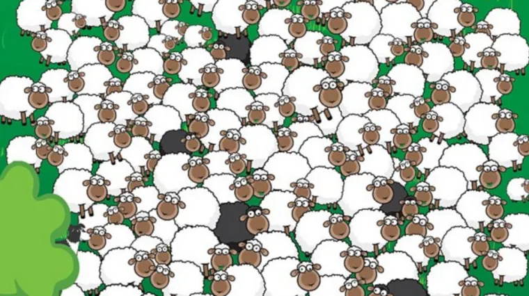 Nađite nestalu ovcu, dvije bebe i skrivenog policajca: nekoliko mozgalica za nadolazeći vikend