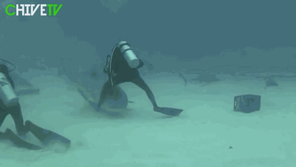 MILIMETRI OD TRAGEDIJE: Niti sami nisu svjesni kako su se uspjeli othrvati raljama smrti