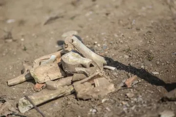 Nakon pronalaska kosti u Gračanima počelo iskapanje, radi li se o masovnoj grobnici?