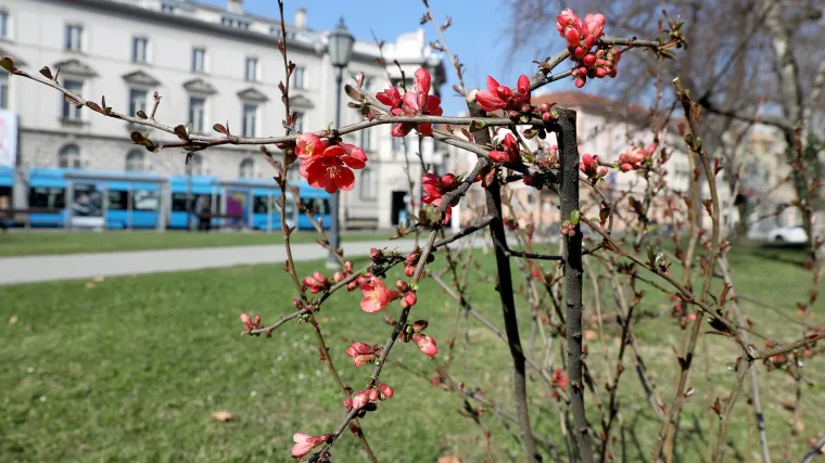 Pravo proljeće stiže i prije onog kalendarskog: temperature i do 20 stupnjeva!