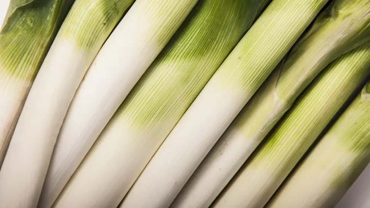 Poriluk sadnja: kako se sadi poriluk