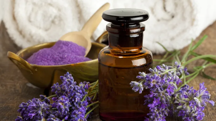 Aromaterapija: lavanda zna kako se obračunati s prehladama i alergijama