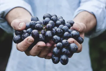 Ovo su prednosti i nedostaci ekološke proizvodnje