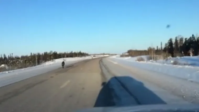 Vjerujte, ovakav prizor nećete vidjeti nikada u životu