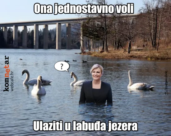 Svaka ptica...
