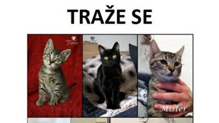 Gdje su nestale sve 'udomljene' životinje? Volonteri u panici, upozoravaju na lažnog udomitelja iz Folnegovićevog!