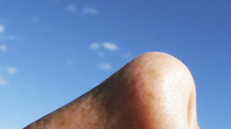 Oblik i dužina nosa nisu puka genetska slučajnost: za oblik nosa zaslužna je i klima