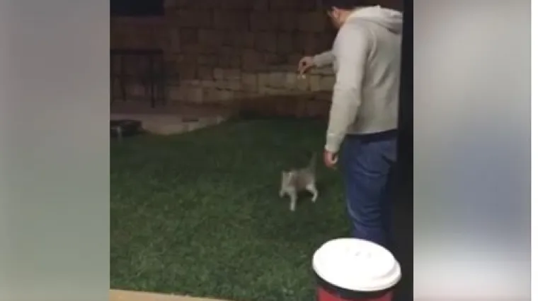 Splićanin ulovljen na snimci kako se divljački iživljava na nemoćnoj mački