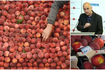 'Kupe breskve od nas po 2 kune pa ih na Jadranu prodaju po 30 kuna'