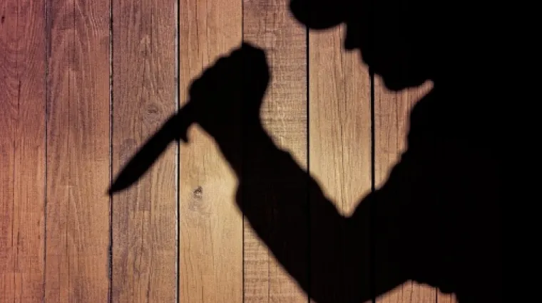 Slovenac ubio baku i brata, odrubio im glave i spalio ih u peći, a zatim sam nazvao policiju