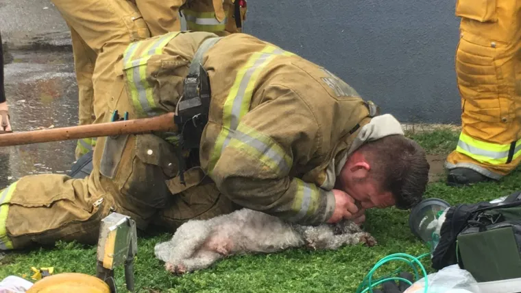 Priča o hrabrosti jednog vatrogasca koja vas neće ostaviti ravnodu&scaron;nima