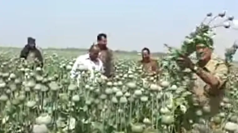 'To su leteći narkomani. Ako vas nema minutu, u polje se spusti cijela vojska'