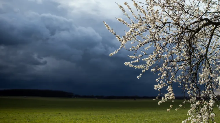 Zbog ciklona Debbie u Australiji evakuirane tisuće osoba. 'Bit će opako, naleti će biti snažni'