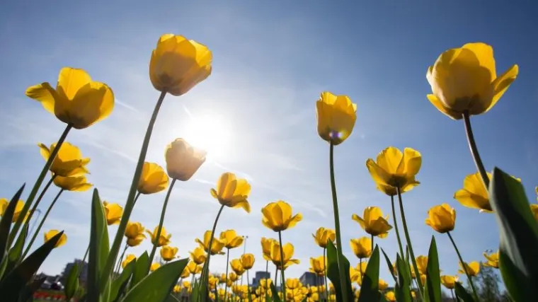 Tjedna prognoza Nikole Vikić-Topića: i u ovom tjednu se imamo čemu veseliti, temperature ponovno iznad 20!