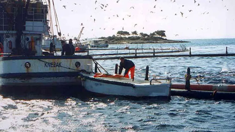 Ribari strepe zbog prijedloga Europske komisije: ograničenjem ulova u pitanje se dovodi četiri tisuće radnih mjesta