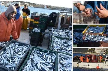 Ako ih prihvate, ove kvote mogle bi ugasiti više od četiri tisuće radnih mjesta u zemlji?