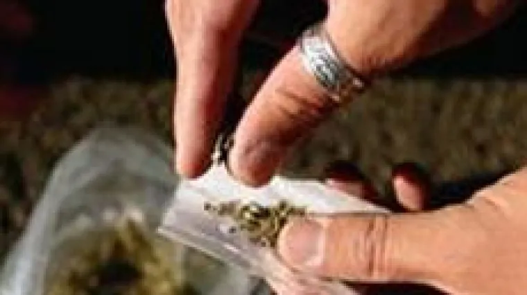 Kanada legalizira marihuanu: stanovnici 'obećane zemlje' će u njoj rekreativno moći uživati od srpnja iduće godine